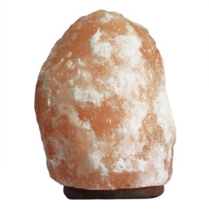 Himalaya Saltlampa  24-25 kg